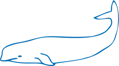 Beluga Health Partner