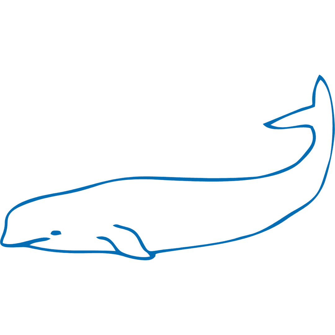 Hire beluga health experts from CodeClouds